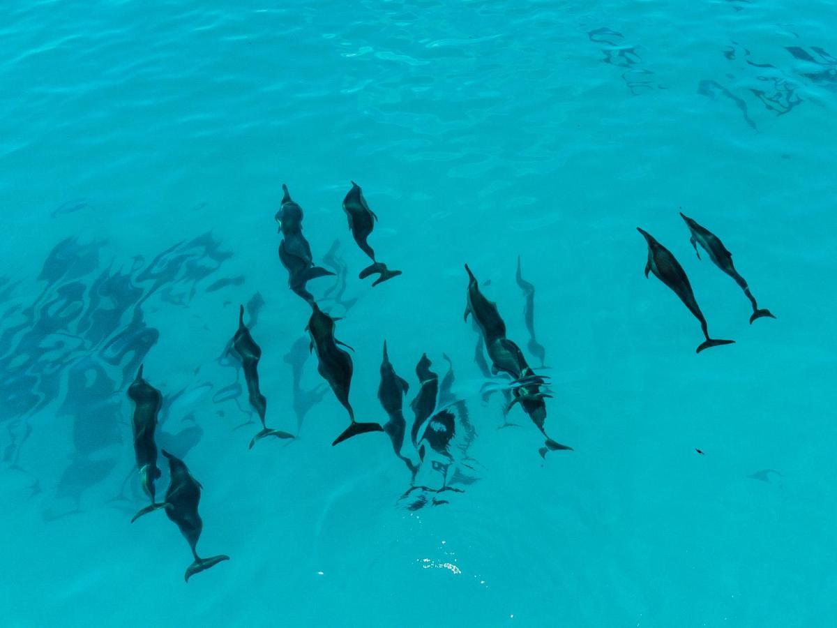 Gasthof Reef Edge Thulusdhoo, Maldives Thulusdhoo