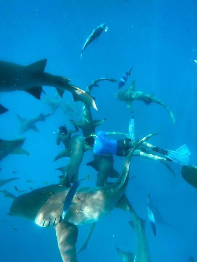Guest house Reef Edge Thulusdhoo, Maldives
