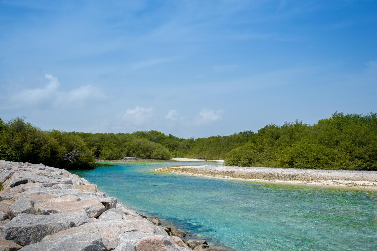 Reef Edge Thulusdhoo, Maldives 4* Thulusdhoo