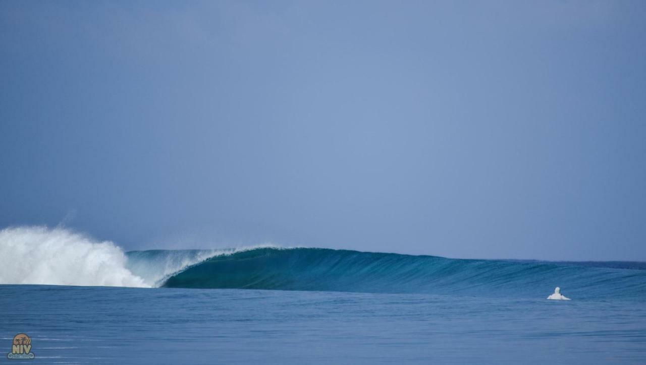Guest house Reef Edge Thulusdhoo, Maldives 4*